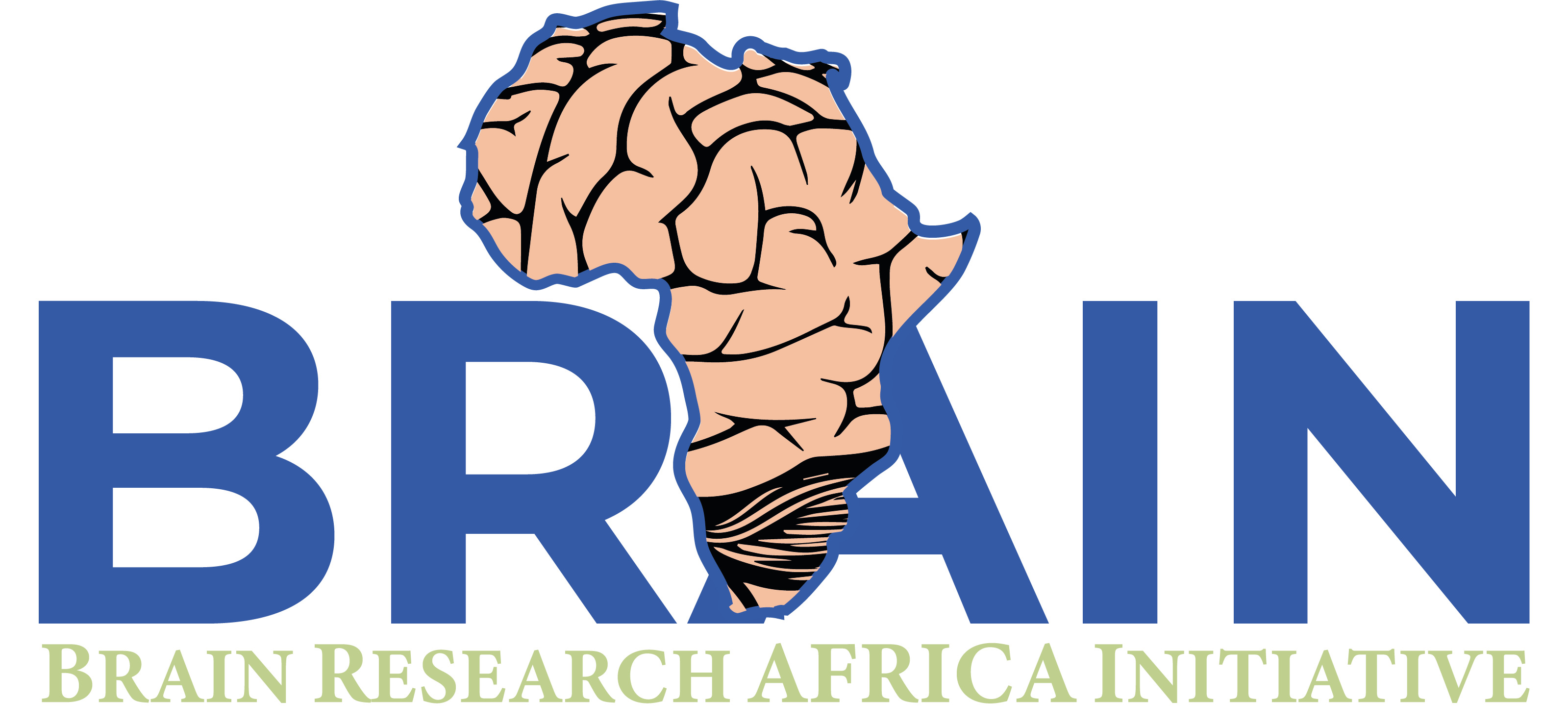  BRAIN RESEARCH AFRICA INITIATIVE